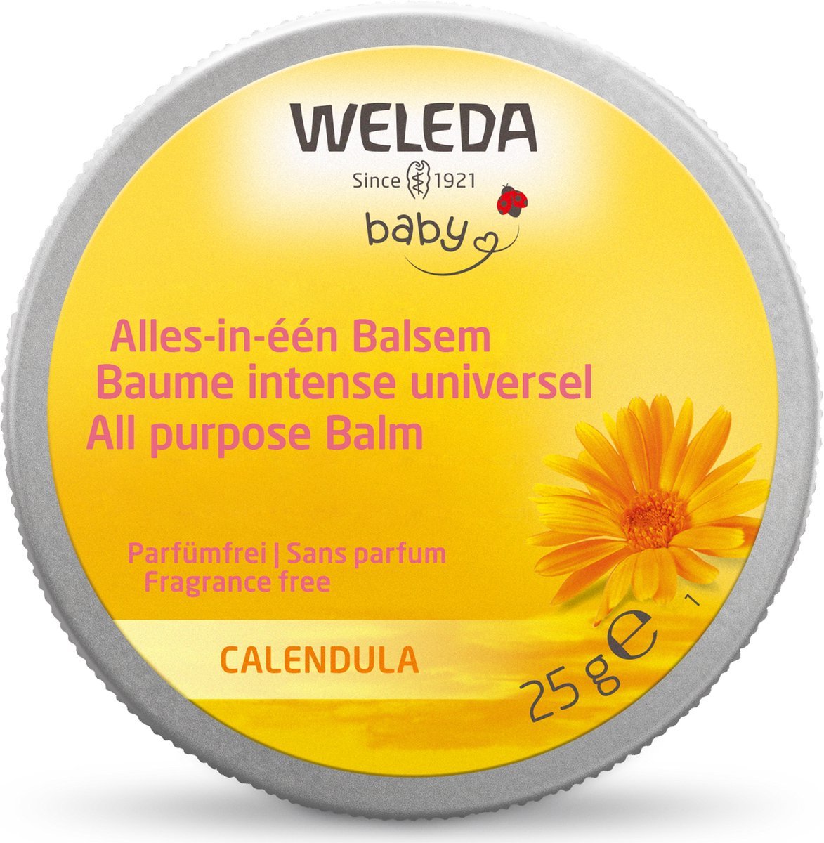 68e2e7e047ba5d5b9ff381b8fa4a327d0c81f24f6d5dae2dbf36e.jpg Weleda Alles-in-één Balsem 25g - Afbeelding 1